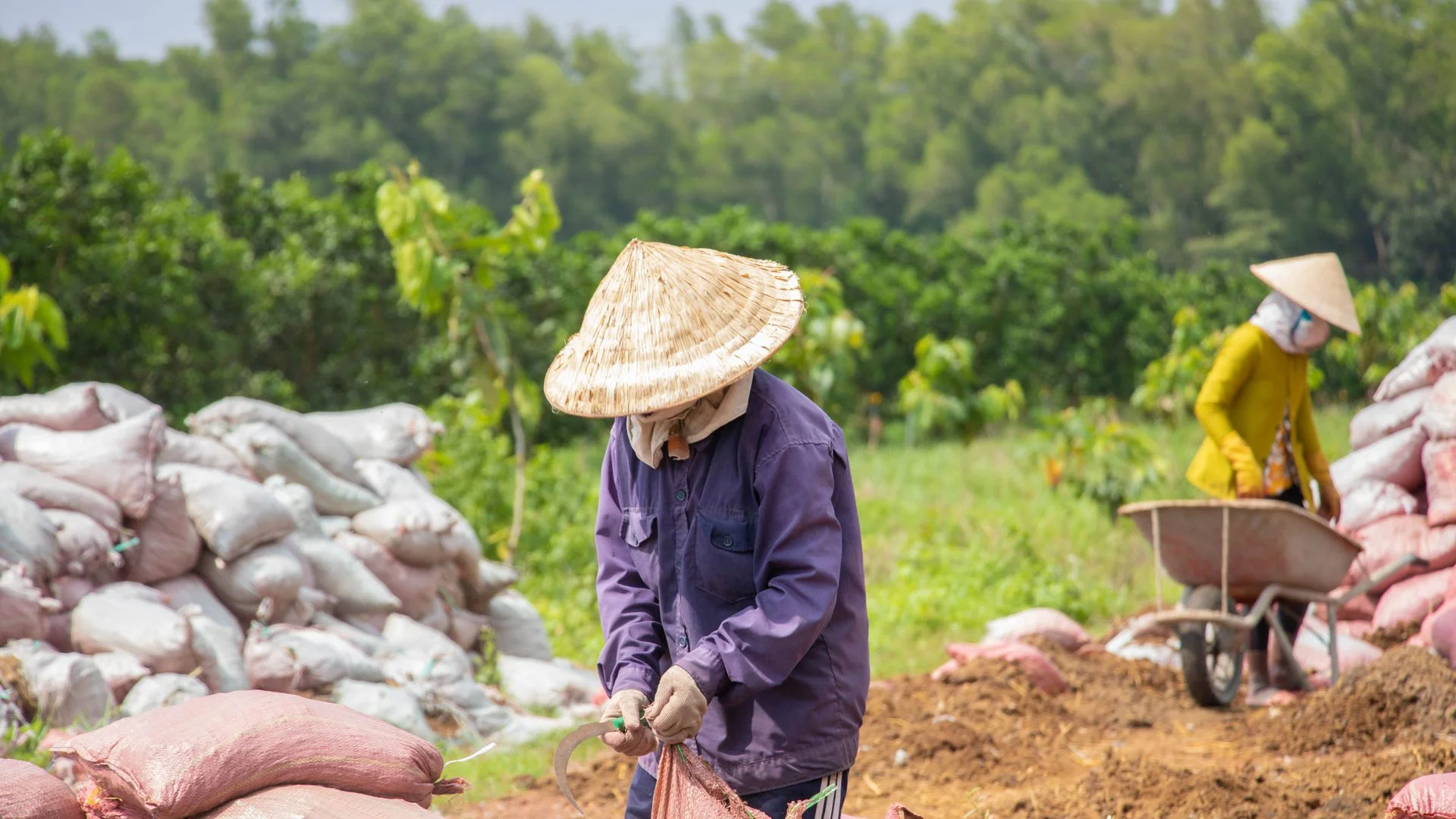 A farmer at Le Vien Farm in Vietnam